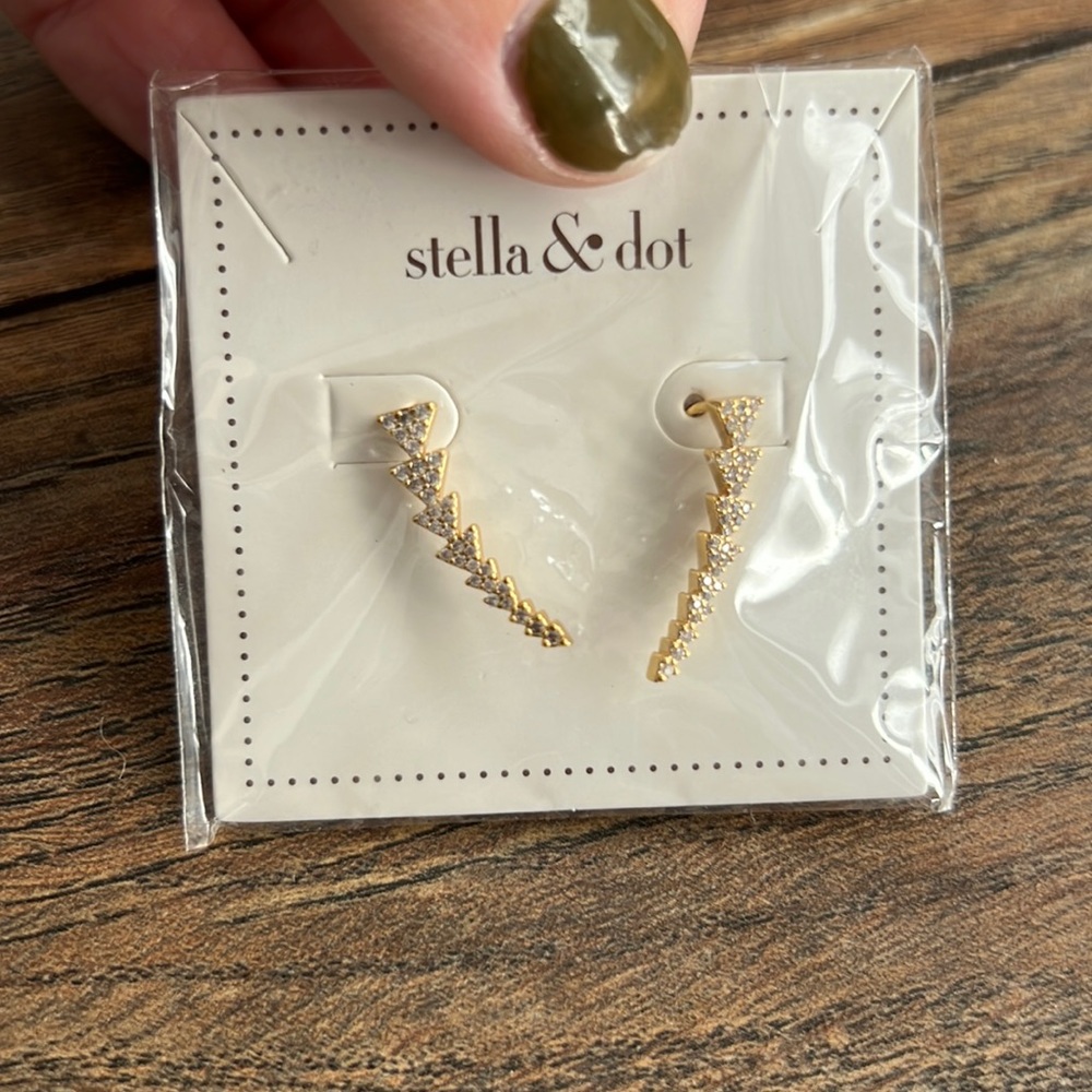 Stella & Dot earrings